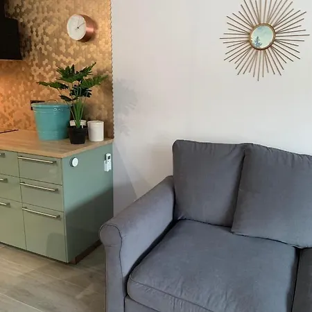 Miedziany Apartment *