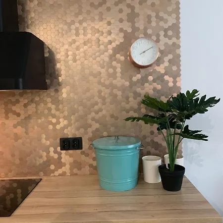 Apartment Miedziany Szczyrk